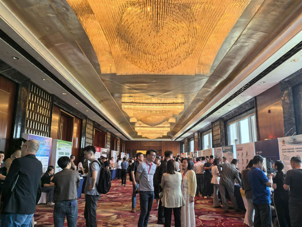 图片6